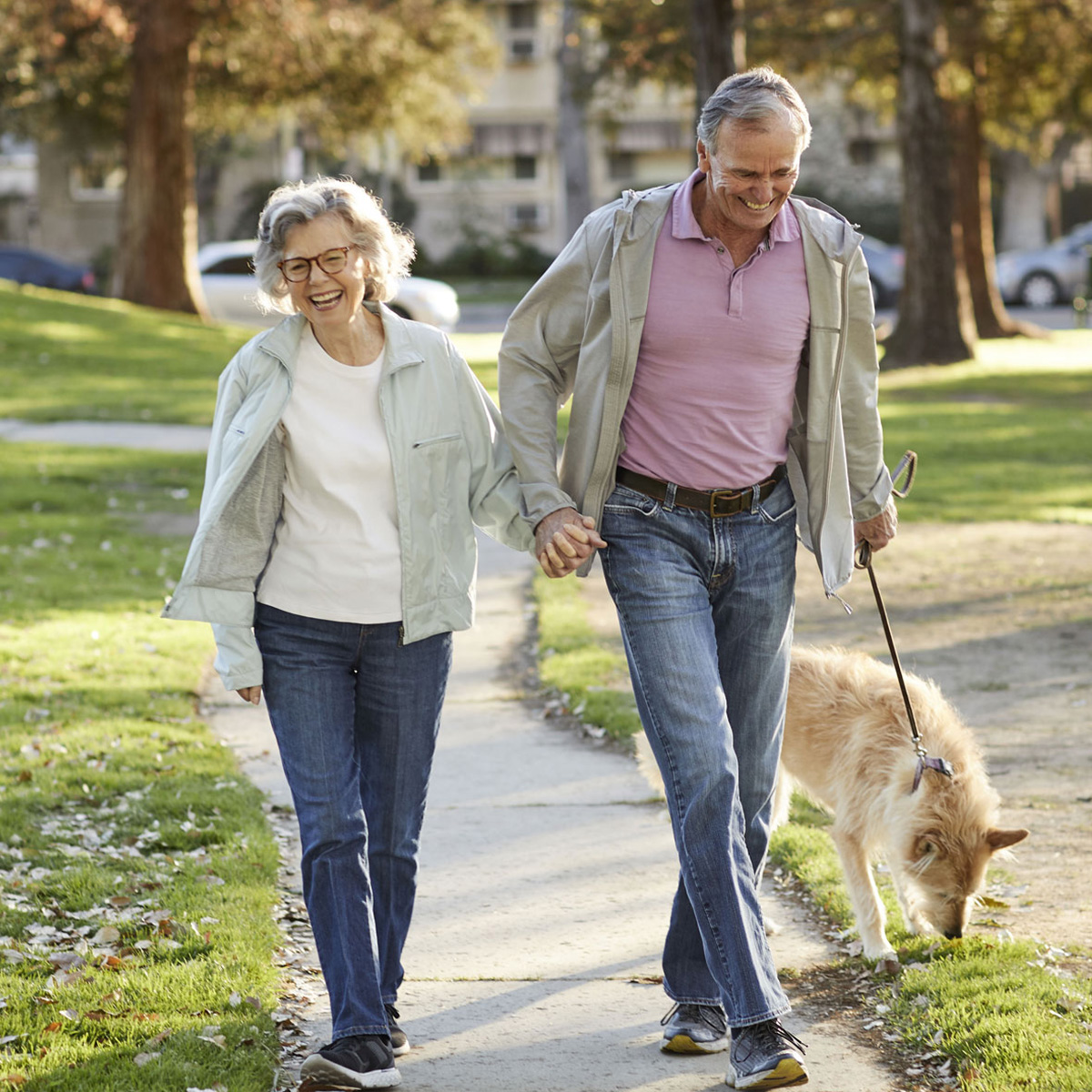 Smiling couple holding hands and walking their dog on a sunny day.