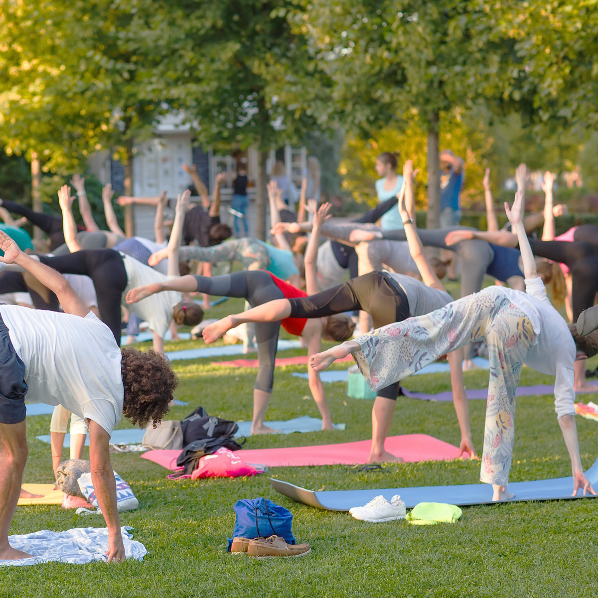 A group of men and women practice yoga in a park